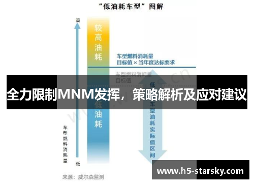 全力限制MNM发挥，策略解析及应对建议
